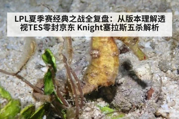 LPL夏季赛经典之战全复盘：从版本理解透视TES零封京东 Knight塞拉斯五杀解析